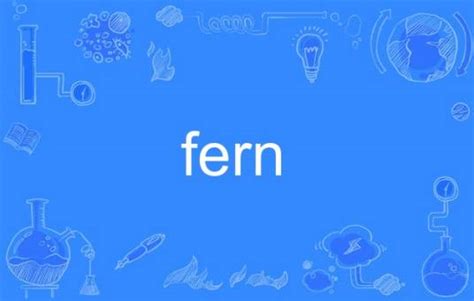 fern的意思|fern（词汇）